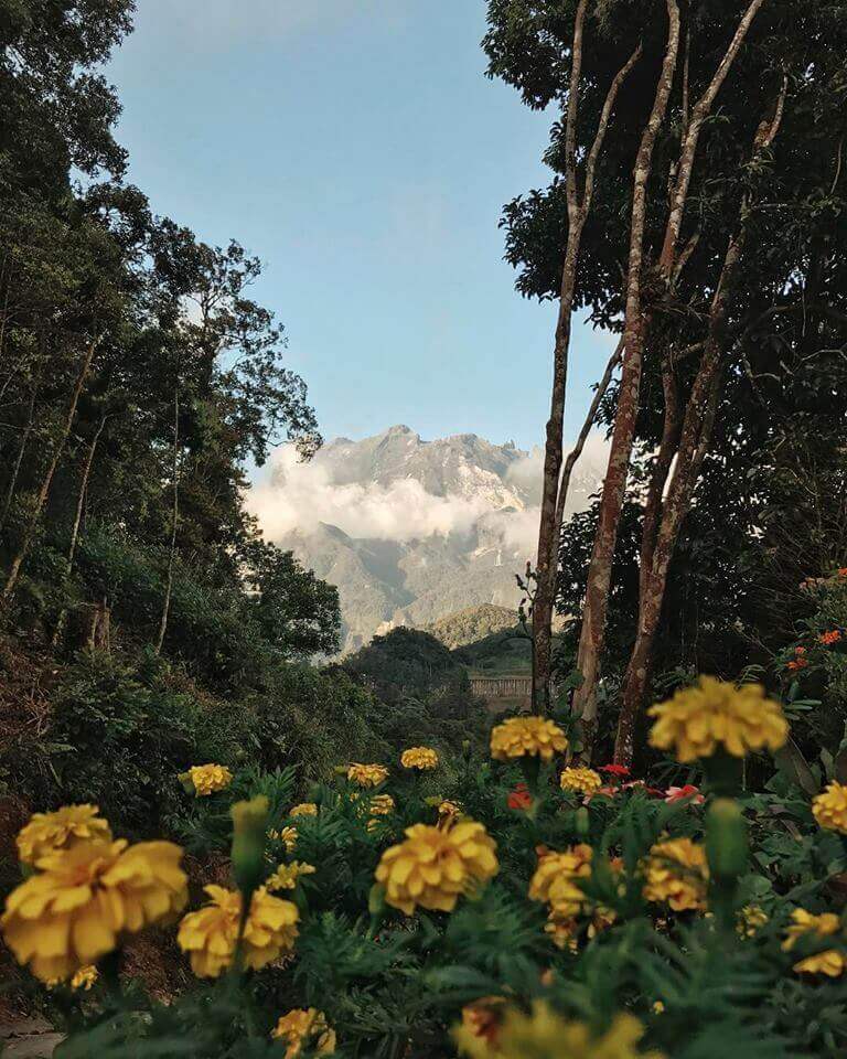 Inilah 25 Tempat Menarik Untuk Anda Kunjungi Di Kundasang Dan Ranau Sabah
