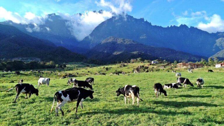 Ini Tempat Menarik Di Kundasang Sabah Untuk Anda Kunjungi
