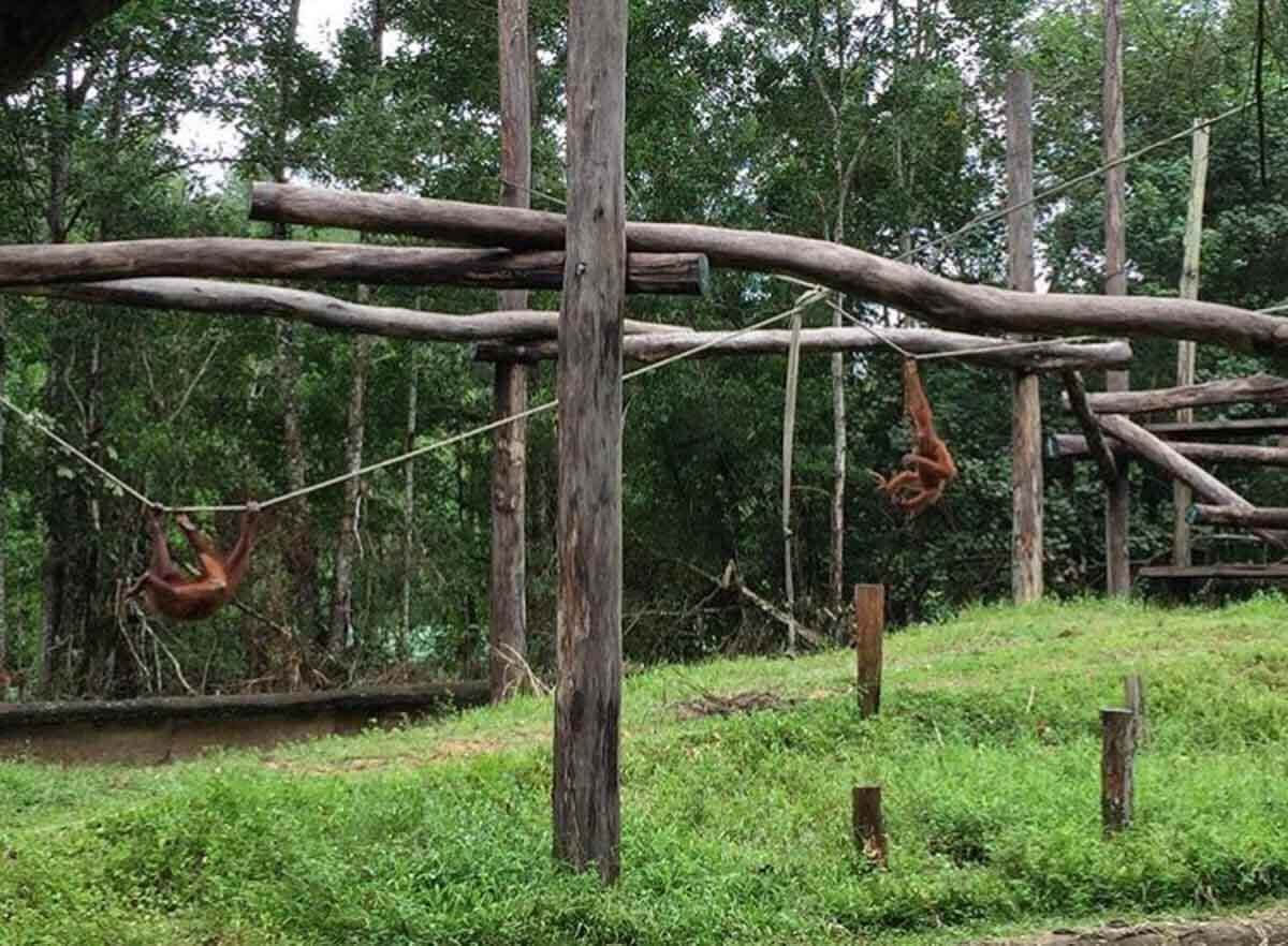Ini Adalah 6 Aktiviti Menarik Untuk Terokai Keindahan Alam Di Kota Kinabalu