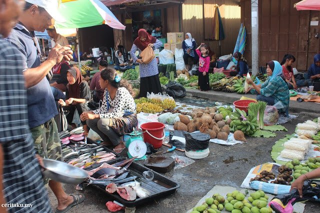 Keunikan Tamu Kota Belud Sabah Yang Anda Perlu Tahu