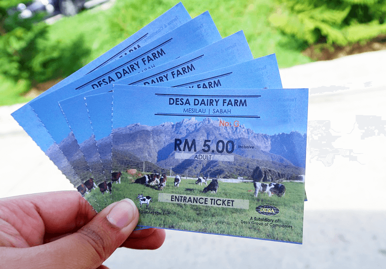 tiket "New Zealand Malaysia" Ada Di Desa Cattle Dairy Farm Kundasang