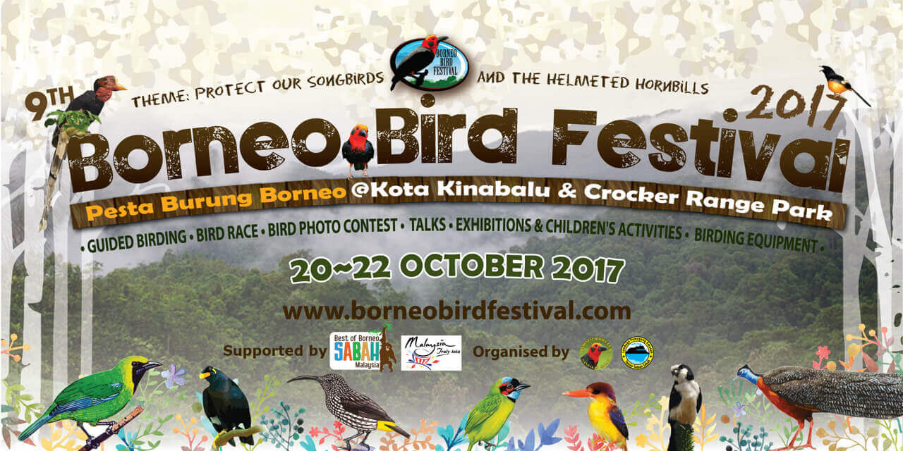 Anda Perlu Cuba Pergi Ke Sambutan Borneo Bird Festival Ini