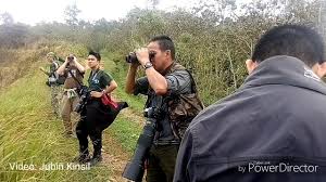 Sambutan Borneo Bird Festival