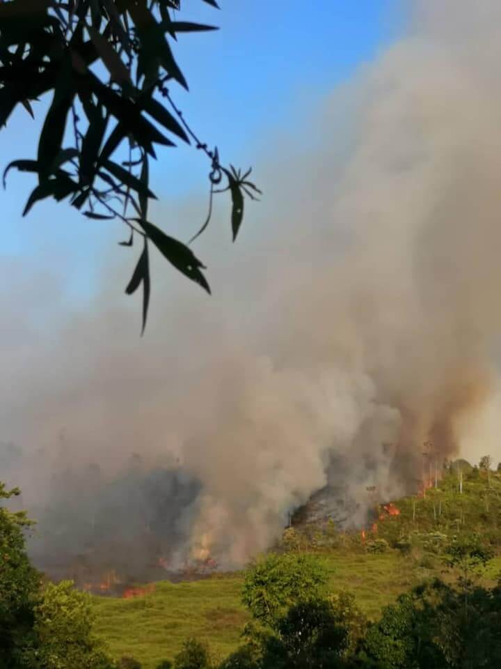 Hutan Bario Terbakar Teruk, 450km Perjalanan Sukar untuk Bomba 7 Hutan Bario Terbakar Teruk, 450km Perjalanan Sukar untuk Bomba