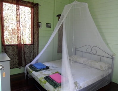 Pasangan Backpackers Eropah Ini Temui Homestay Rare di Hutan Padawan