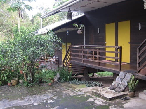 Pasangan Backpackers Eropah Ini Temui Homestay Rare di Hutan Padawan