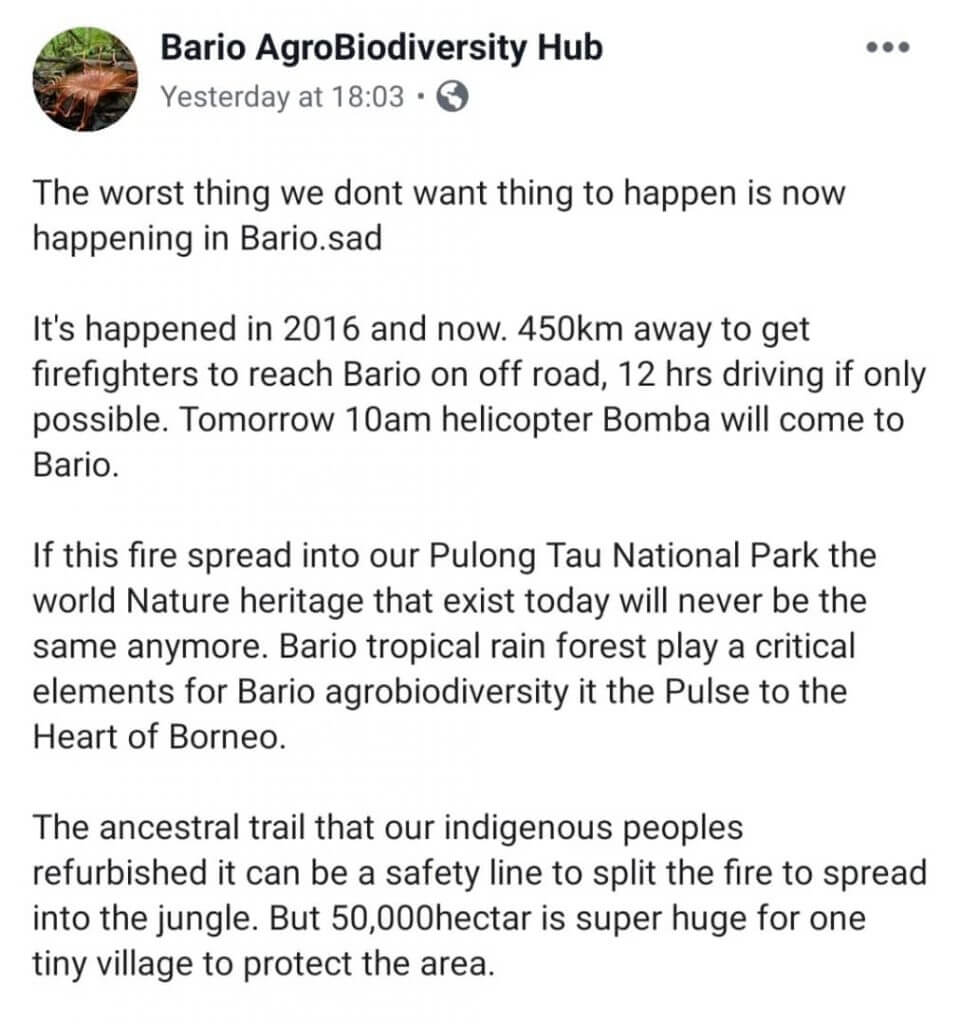 Hutan Bario Terbakar Teruk, 450km Perjalanan Sukar untuk Bomba 9 Hutan Bario Terbakar Teruk, 450km Perjalanan Sukar untuk Bomba