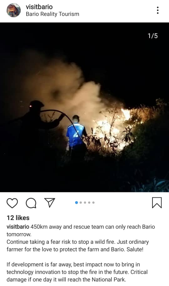 Hutan Bario Terbakar Teruk, 450km Perjalanan Sukar untuk Bomba 10 Hutan Bario Terbakar Teruk, 450km Perjalanan Sukar untuk Bomba