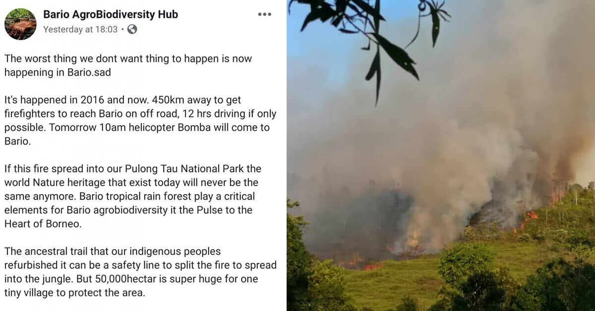 Hutan Bario Terbakar Teruk, 450km Perjalanan Sukar untuk Bomba
