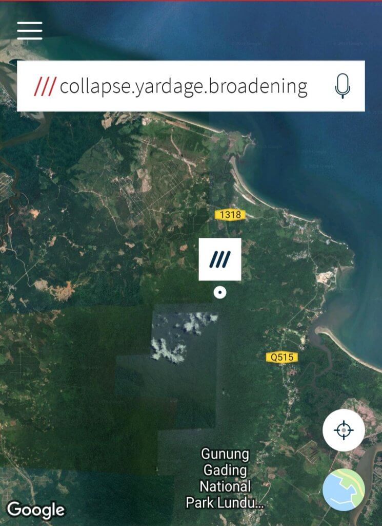 Dengan Hanya 3 Perkataan, Wanita Hilang di Hutan Lundu Ini Berjaya Ditemui