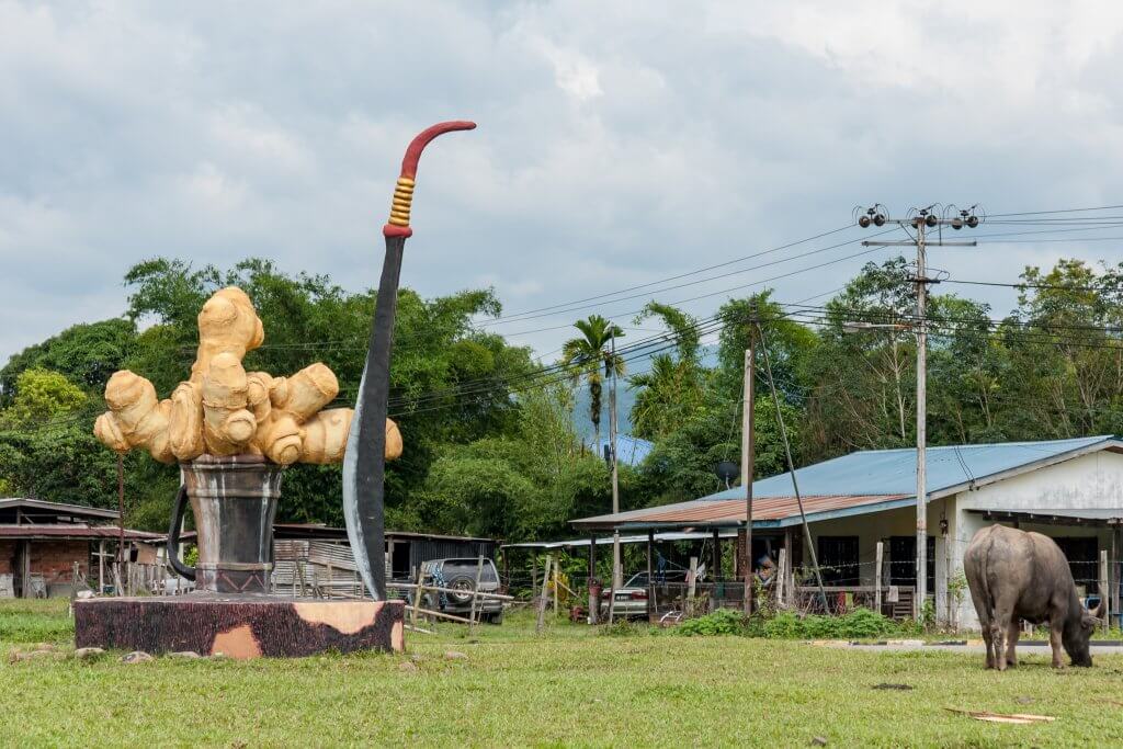 Roundabout Mantul yang Anda Hanya Jumpa di Sabah!