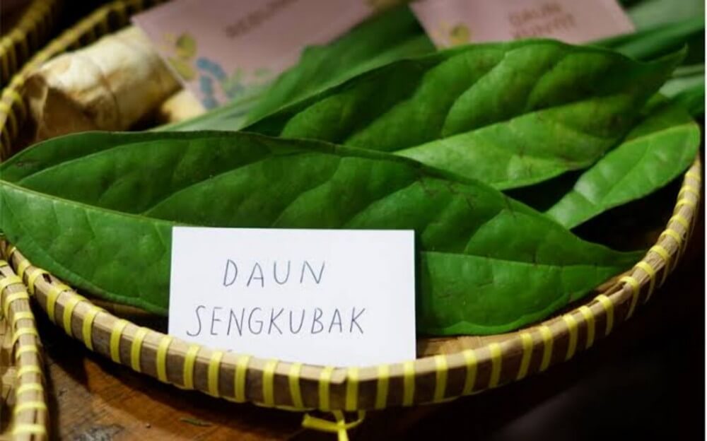 Daun Liar di Hutan Borneo Ini Rupanya Boleh Beri Rasa Mirip Ajinomoto