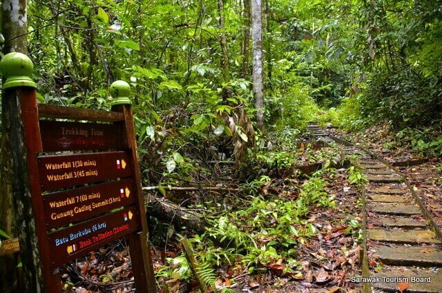 Peluang Saksikan Bunga Rafflesia Yang Sedang Mekar di Taman Negara Gunung Gading