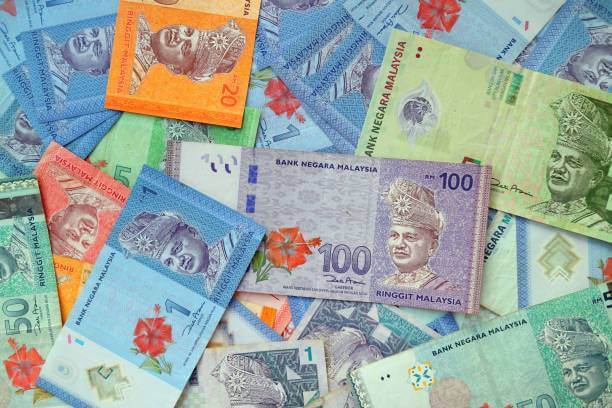 Usah Risau, Dewan Negara Sahkan Wang Kertas Malaysia Bebas Lemak Babi