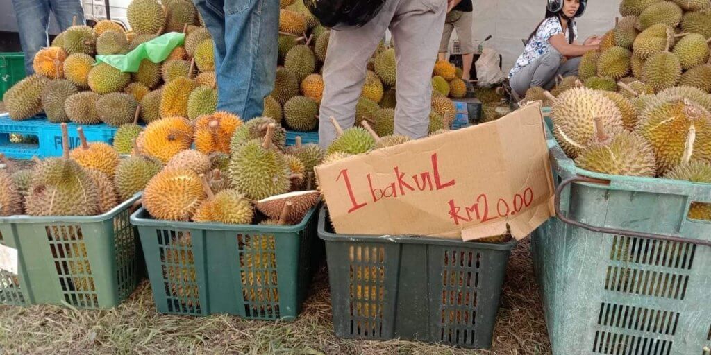8 Port Durian Paling Power Di Sekitar Kuching dan Serian