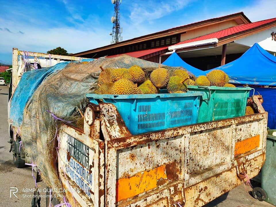 8 Port Durian Paling Power Di Sekitar Kuching dan Serian