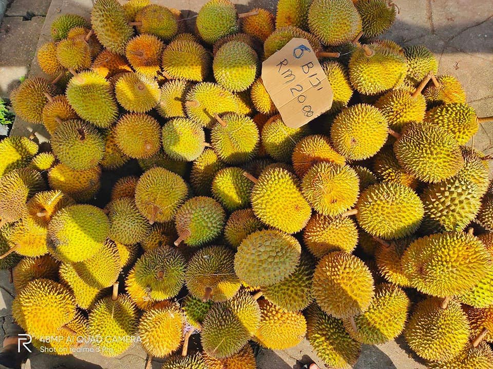 8 Port Durian Paling Power Di Sekitar Kuching dan Serian