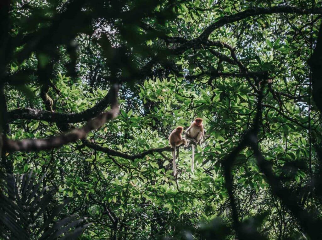 7 Destinasi Hiking Di Sekitar Kuching Yang Anda Perlu Cuba