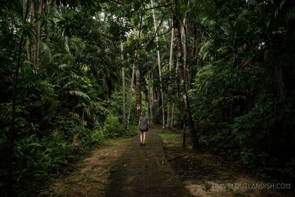 7 Destinasi Hiking Di Sekitar Kuching Yang Anda Perlu Cuba