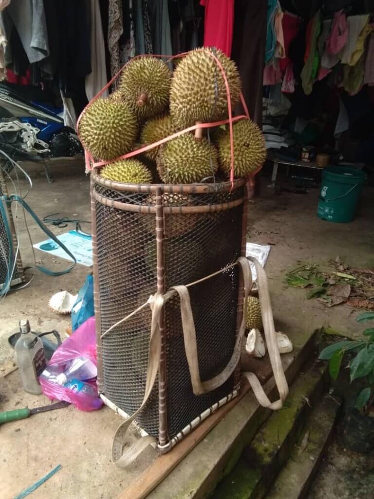 WhatsApp Image 2020 01 15 at 21.02.08 8 Port Durian Paling Power Di Sekitar Kuching dan Serian