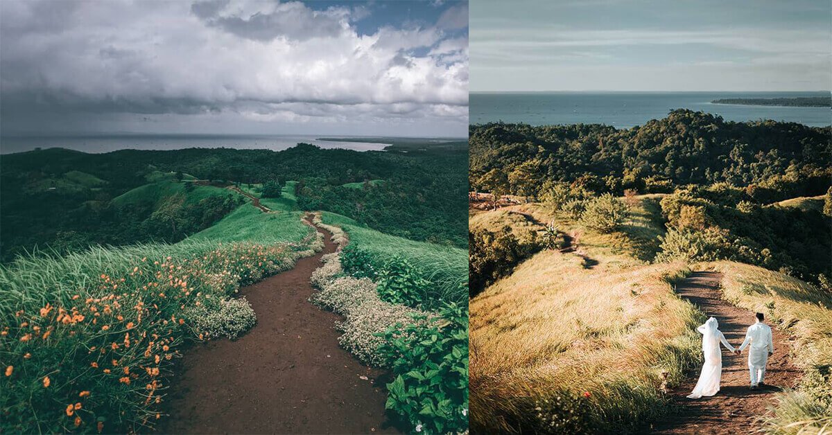 Sebiji Macam Dalam Filem Hollywood, Trail Berbunga Bukit Piniapat Tarikan Terbaru di Sabah