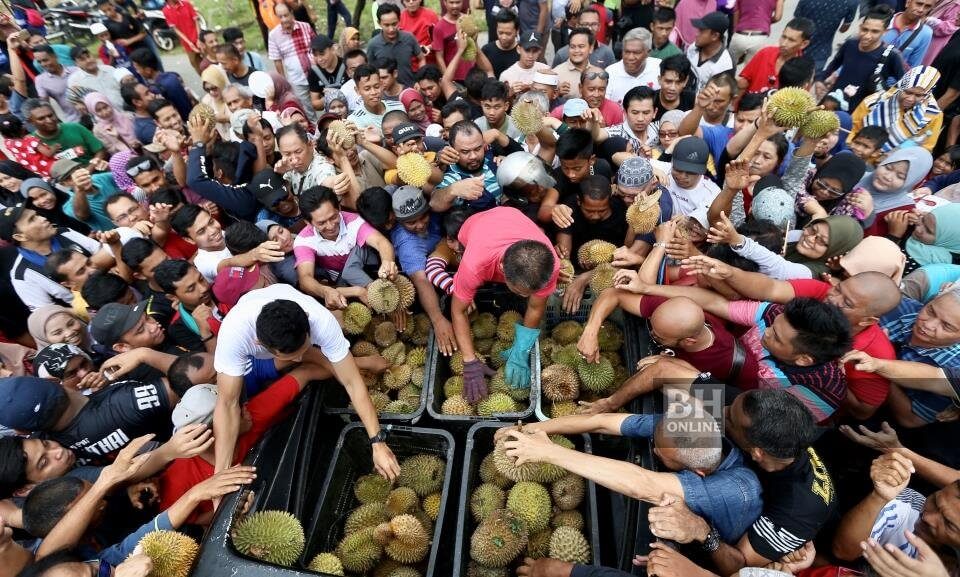 2000 Biji Durian Percuma Menanti Pengunjung Program Sarawakku Sayang Di Samarahan