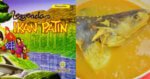Cerita Lagenda Di Sebalik Mengapa Sesetengah Orang Sarawak Tidak Memakan Ikan Patin