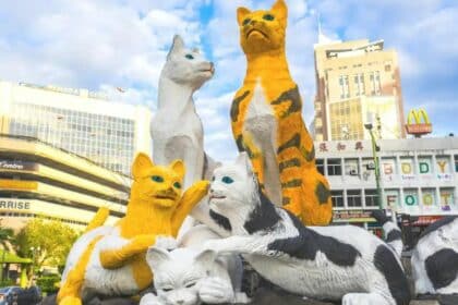 Ini Kisah Latar Belakang Bagaimana Kuching Mendapat Nama
