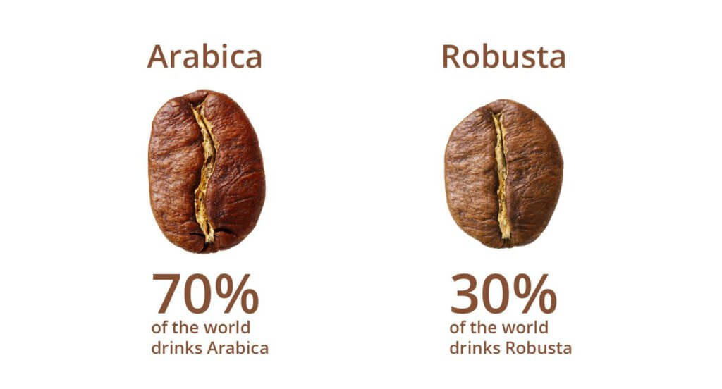 Ini Rupanya Sebab Mengapa Kopi Tenom Lebih 'Kaw' Dari Kopi Yang Anda Pernah Minum