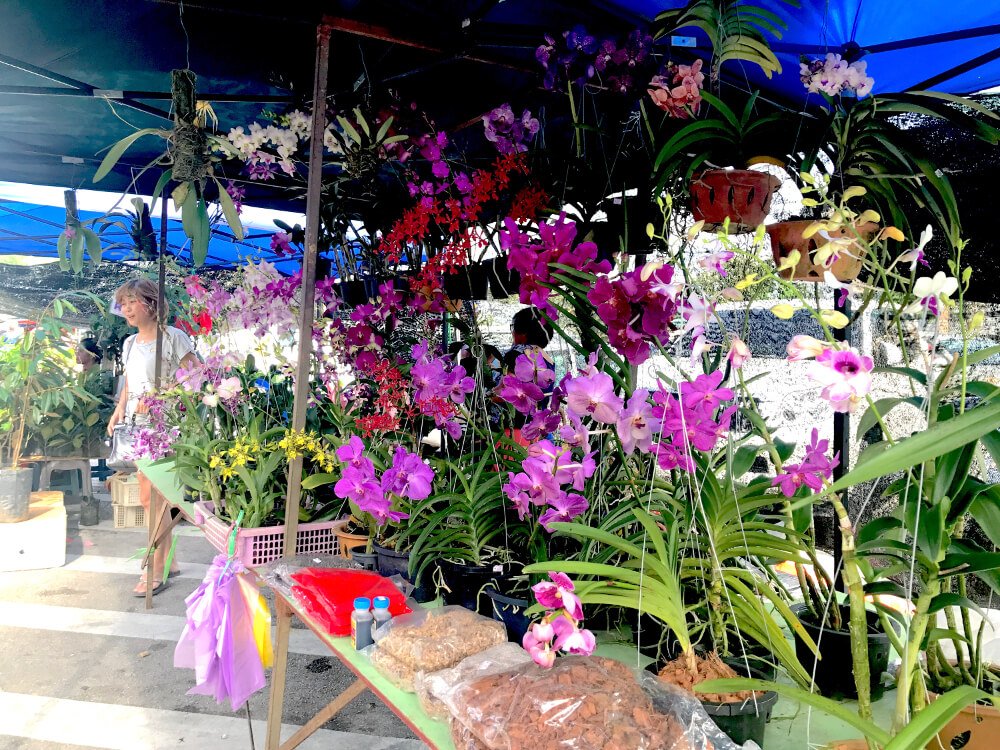 Satok 14 Ini 3 Lokasi Pasar Tamu Untuk Anda 'Shopping' Hasil Tani Rare Di Sarawak
