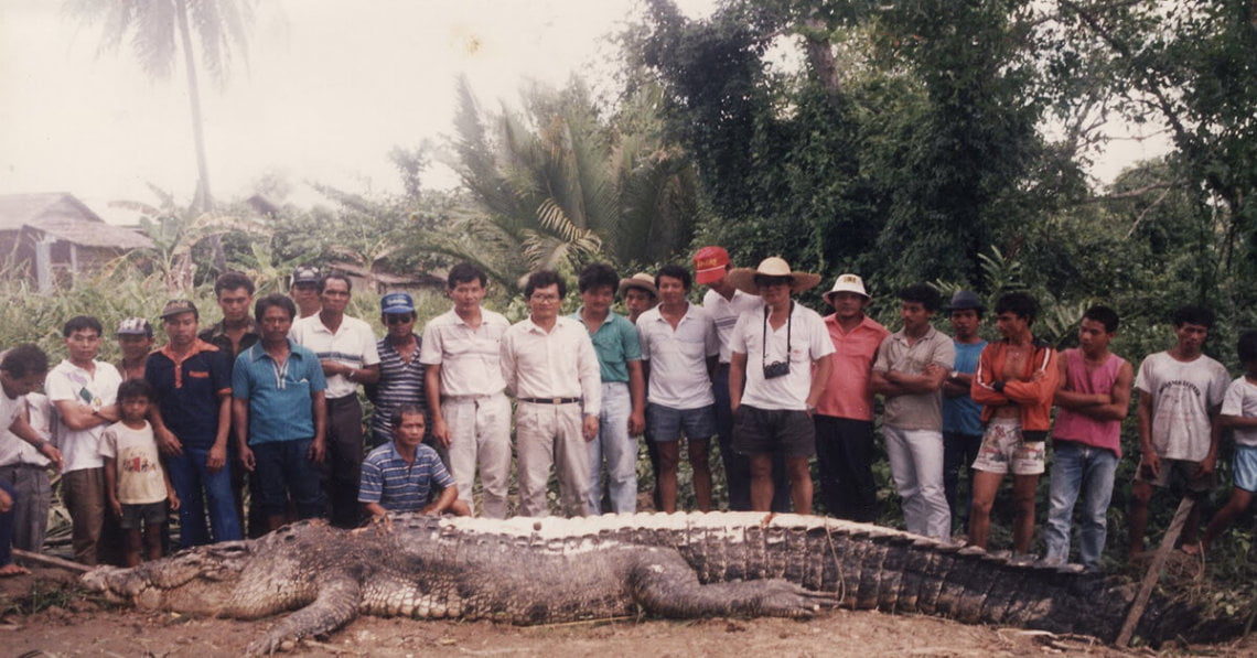 Mimpi Melihat Buaya Banyak / Arti mimpi melihat banyak ...