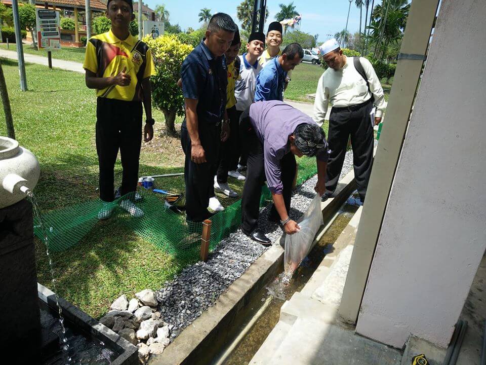 Ilham Dari Jepun, Longkang Jernih Sekolah Di Miri Ini Siap Ada Ikan Koi