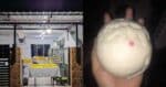 Pau Taman Desa Ilmu, Pau Enak RM 1.50 Sebesar Tapak Tangan Di Samarahan