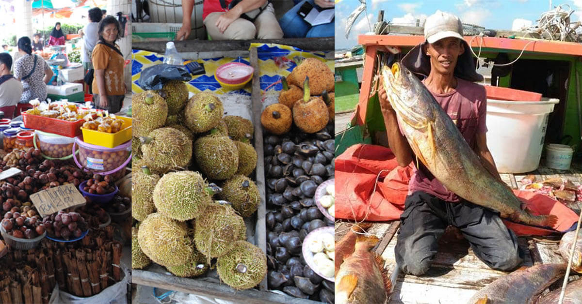 Kerajaan Sarawak Benarkan Petani, Penternak dan Nelayan Beroperasi
