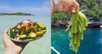 Kenali Latok, Makanan Sabah Yang Jadi Trend 'Mukbang' Di Malaysia
