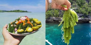 Kenali Latok, Makanan Sabah Yang Jadi Trend 'Mukbang' Di Malaysia