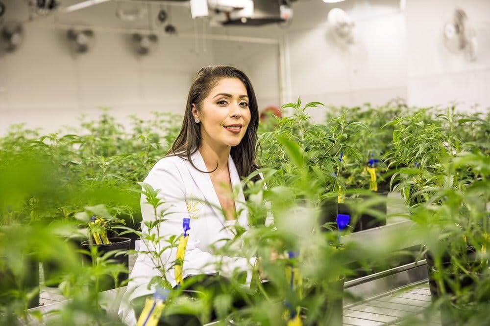 Gadis Sabah Ini Kongsi Pengalaman Jadi 'Quality Control' Produk Ganja Di Amerika 8 Gadis Sabah Ini Kongsi Pengalaman Jadi 'Quality Control' Produk Ganja Di Amerika
