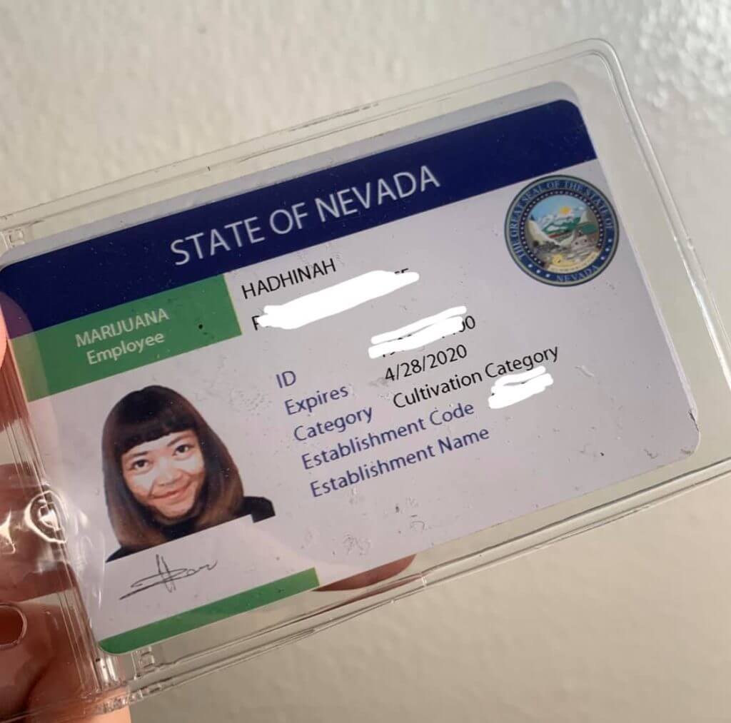 Gadis Sabah Ini Kongsi Pengalaman Jadi 'Quality Control' Produk Ganja Di Amerika 11 96118007 2849114241874336 7209677552133079040 o Gadis Sabah Ini Kongsi Pengalaman Jadi 'Quality Control' Produk Ganja Di Amerika