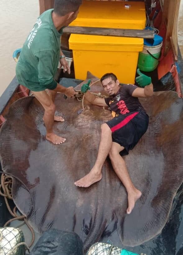 Tangkap Pari Gergasi 280 Kilo, Rezeki Ramadan Buat Nelayan Di Lundu Ini