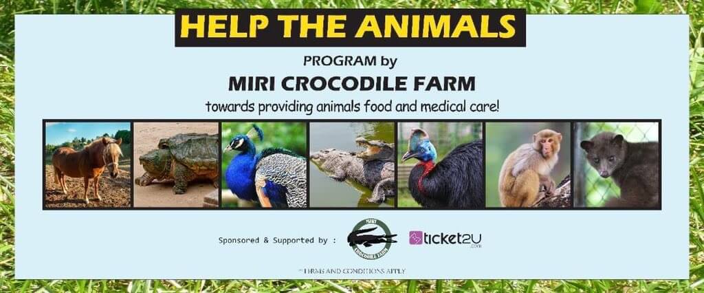 Bermula RM 10, Anda Boleh Bantu Haiwan Di Miri Crocodile Farm Untuk Terus Hidup
