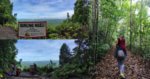 BeFunky collage154 Gunung Ngeli, Port Hiking Yang Sesuai Untuk Beginner Di Simunjan