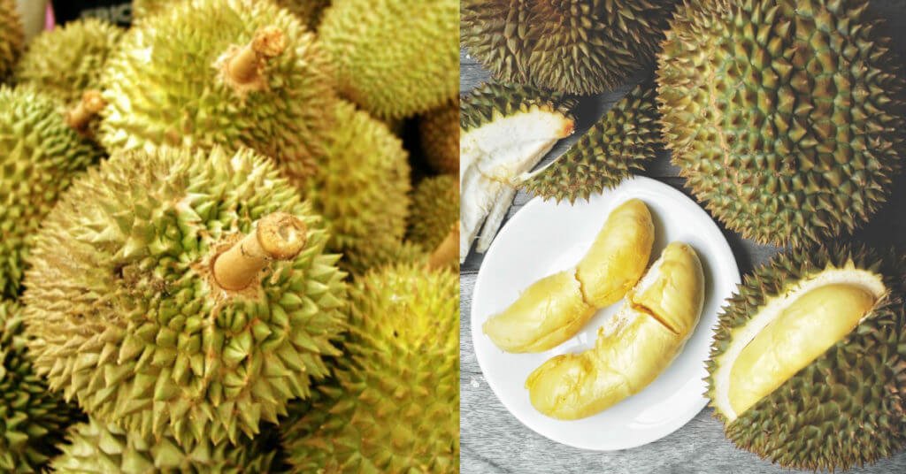 Pekerja Pos Di Jerman Terpaksa Dimasukkan Ke Hospital Setelah Terhidu Bungkusan Durian