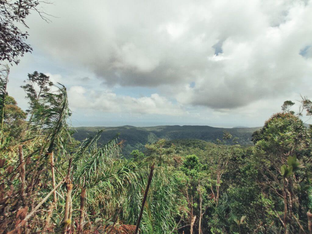 Gunung kelambu lang