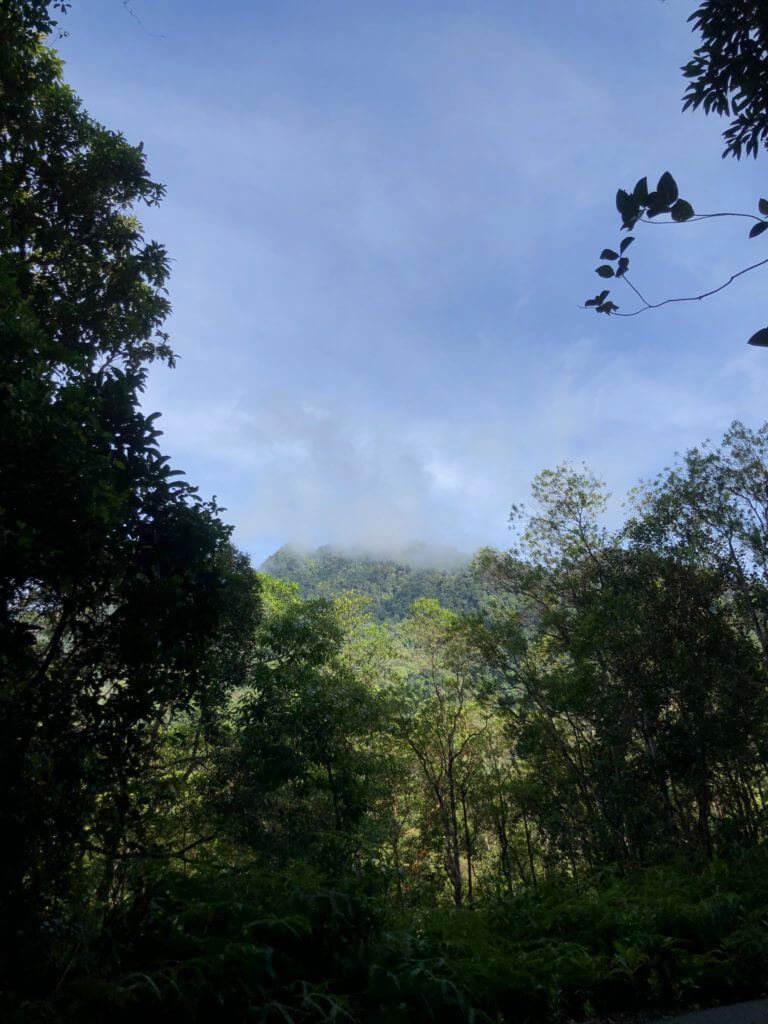 Gunung Matang, Lokasi Terbaru Untuk Hiking Santai Sambil Lihat Kuil Ala Batu Caves