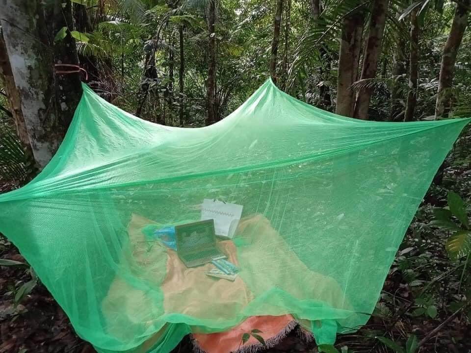 Setelah Kisah Veveonah, Tular Pula Pelajar Sarawak Belajar Di Dalam Hutan Untuk Cari Internet