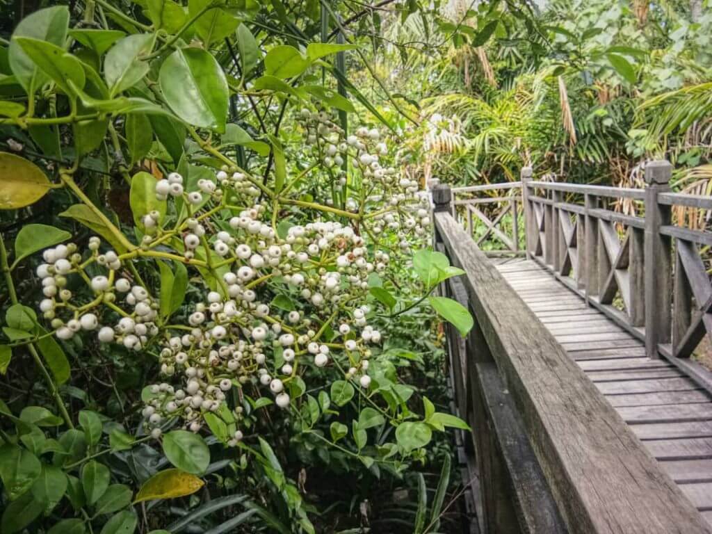 5 Tempat Eko Pelancongan Menarik Yang Anda Mesti Kunjungi Di Limbang