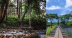 Ini Senarai Tempat Penginapan Menarik Mesra Norma Baharu Di Sabah Dan Sarawak
