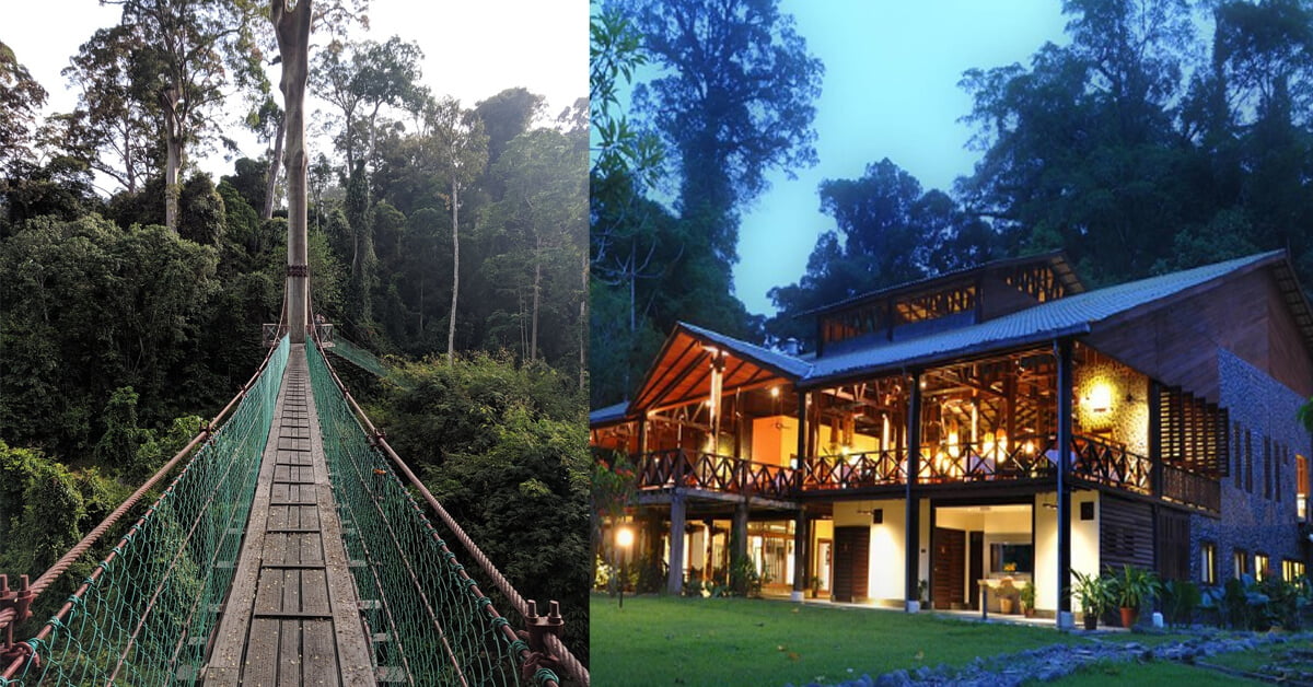 Nikmati Alam Semula Jadi Dengan Style Di Borneo Rainforest Lodge Lembah Danum