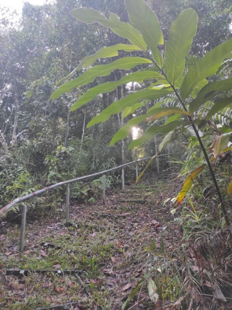 Gunung Ngeli, Port Hiking Yang Sesuai Untuk Beginner Di Simunjan