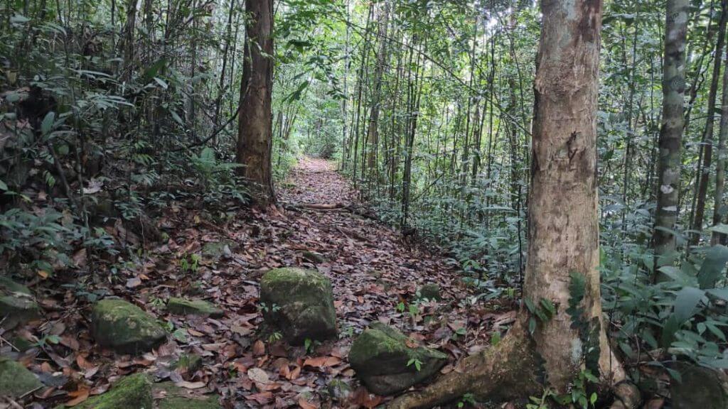 Gunung Ngeli, Port Hiking Yang Sesuai Untuk Beginner Di Simunjan